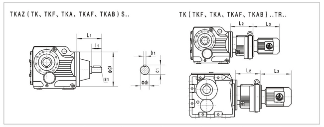 TkϵpٙC